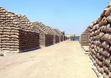 قمح - ارشيفية